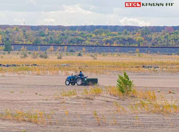 Озиме жито засівають на хвостосховищі ЦГЗК в Кривому Розі