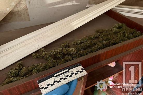 Чекає на вирок за пристрасть до забороненого: у Криворізькому районі судитимуть зберігача канабісу3