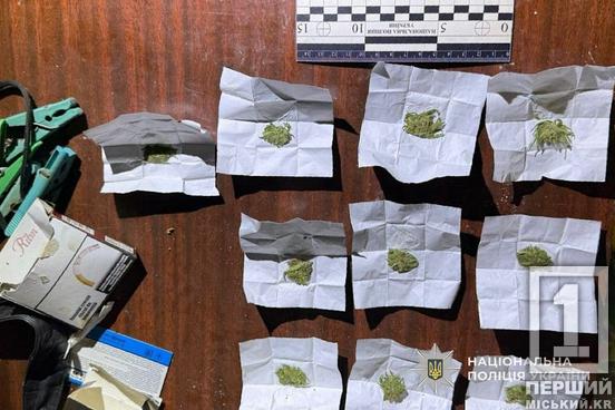 Чекає на вирок за пристрасть до забороненого: у Криворізькому районі судитимуть зберігача канабісу2