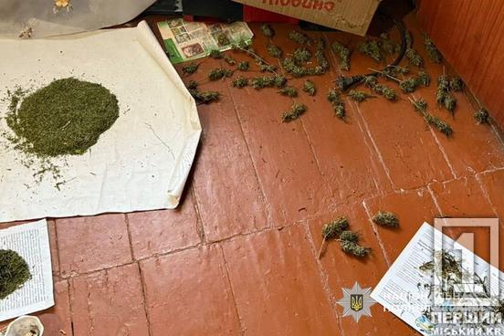 Чекає на вирок за пристрасть до забороненого: у Криворізькому районі судитимуть зберігача канабісу1