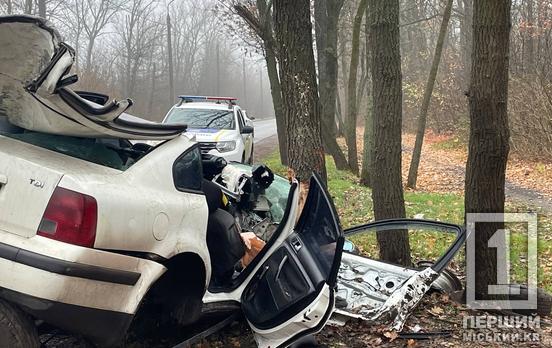 Двоє загиблих на пожежі та майже чотири десятки ДТП: як Кривбас пережив минулий тиждень