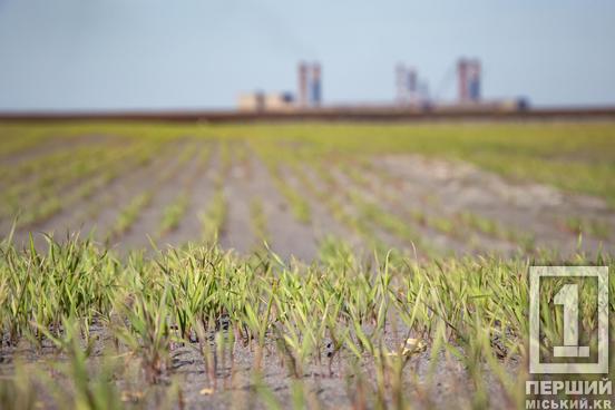 Якість підтверджено: ГЗК Метінвесту працюють за міжнародними стандартами3