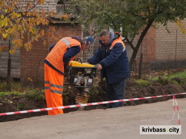 Комфорт і безпека для пасажирів: у Кривому Розі оновлюють маршрути тролейбусів2