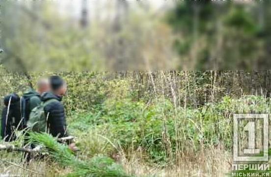 Маршрут «перелаштовано» на лаву підсудних: молодиків з Дніпропетровщини зловили дорогою до Словаччини2