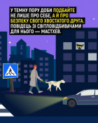 МВС закликає громадян бути помітними на дорозі: флікери рятують життя5