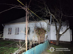 На Дніпропетровщині чоловік забив на смерть свою 86 – річну матір1