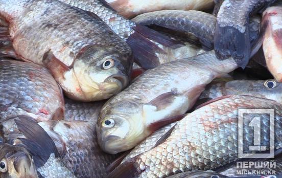 На Дніпропетровщині промишляли браконьєри: збитки перевищили  півтора мільйона гривень