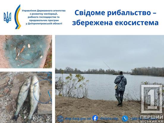 На Дніпропетровщині промишляли браконьєри: збитки перевищили  півтора мільйона гривень1