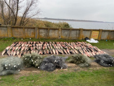 На Криворіжжі викрили браконьєрів, які виловили 790 кг риби0