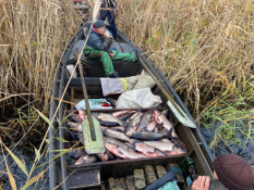 На Криворіжжі викрили браконьєрів, які виловили 790 кг риби2