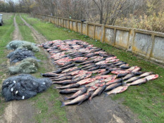 На Криворіжжі викрили браконьєрів, які виловили 790 кг риби1