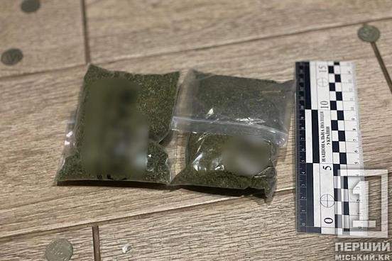 Наркотики – кайданки – ґрати: прикордонники та поліцейські затримали наркобаригу з Дніпропетровської області1