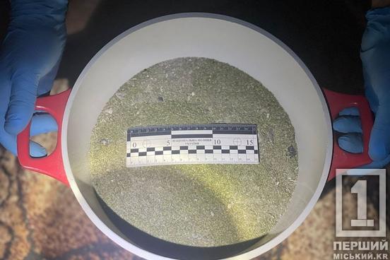 Наркотики – кайданки – ґрати: прикордонники та поліцейські затримали наркобаригу з Дніпропетровської області2