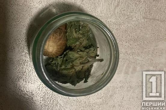 Наркотики – кайданки – ґрати: прикордонники та поліцейські затримали наркобаригу з Дніпропетровської області3