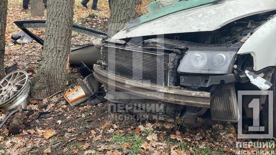 Один пасажир загинув на місці: біля Центрального кладовища легковик влетів у дерево3