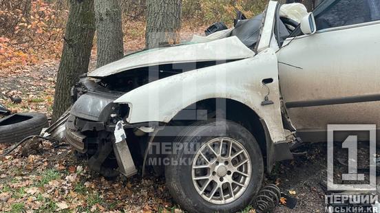 Один пасажир загинув на місці: біля Центрального кладовища легковик влетів у дерево2