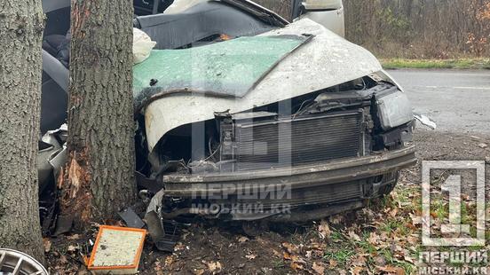 Один пасажир загинув на місці: біля Центрального кладовища легковик влетів у дерево4