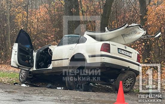 Один пасажир загинув на місці: біля Центрального кладовища легковик влетів у дерево