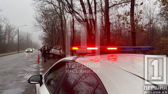 Один пасажир загинув на місці: біля Центрального кладовища легковик влетів у дерево5