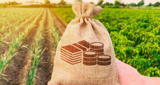 Платники Дніпропетровщини та Києва забезпечили понад третину земельного податку за 10 місяців 2025 року0