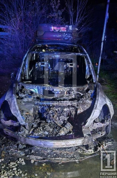 Полум’я у понад два метри висотою: у Кривому Розі цілком вигоріла Tesla1