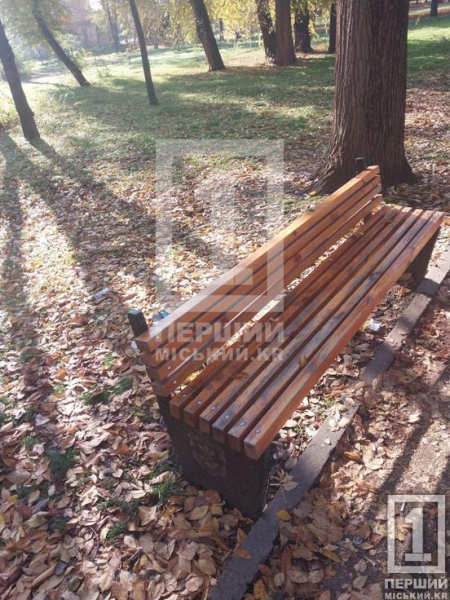 Потрібна негайна реакція поліції: у сквері на Петра Калнишевського молодь регулярно трощить встановлені лави3