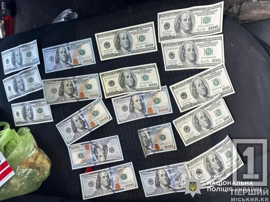 Просили до 10 тис доларів: мешканця Кривого Рогу та ще двох чоловіків судитимуть через незаконну допомогу військовозобов’язаним1