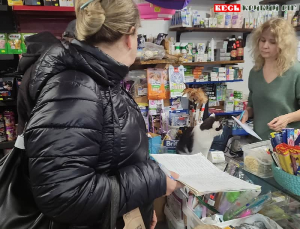 Рейд на вул. Шухевича в Кривому Розі з легалізації працівників