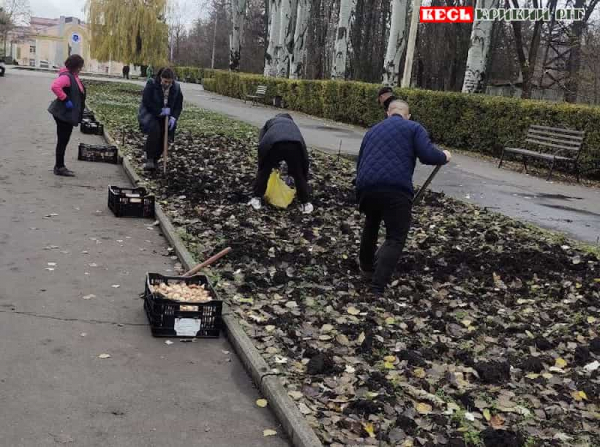 Тюльпанову алею висадили Слуги Народу в парку Скидана в Кривому Розі