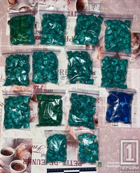 Замість заробітку на наркозалежних – в’язнична камера: на Дніпропетровщині засудили жінку через оборудку з психотропами на 5+ млн грн3