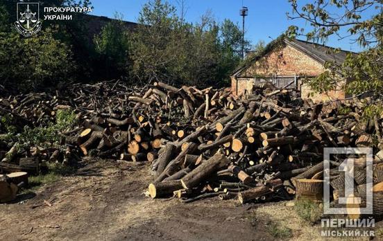 Заробляли на продажі незаконно зрубаних дерев: у Дніпропетровській області судитимуть «чорних» лісорубів