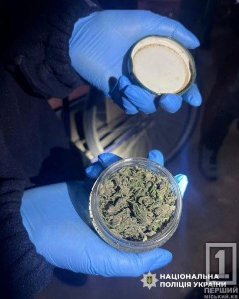 Зберігав заборонки на +100 тисяч грн: у Кривому Розі під суд піде чоловік який вдома мав нарко-склад4