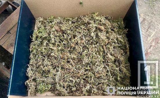 Зберігав заборонки на +100 тисяч грн: у Кривому Розі під суд піде чоловік який вдома мав нарко-склад3