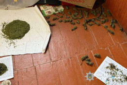 «Зелений бізнес» накрили: на Криворіжжі викрили чоловіка з сотнею пакетів канабісу2