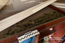 «Зелений бізнес» накрили: на Криворіжжі викрили чоловіка з сотнею пакетів канабісу3