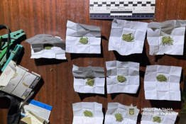 «Зелений бізнес» накрили: на Криворіжжі викрили чоловіка з сотнею пакетів канабісу4