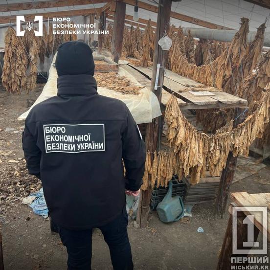 Бізнес повного циклу без документів та 500 кг продукції: БЕБ затримало торговців тютюном1