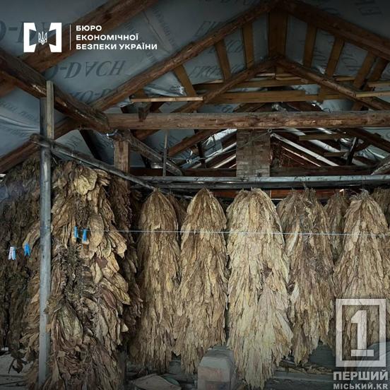 Бізнес повного циклу без документів та 500 кг продукції: БЕБ затримало торговців тютюном2