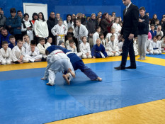 Близько 120 юних спортсменів змагалися у новорічному турнірі з дзюдо2