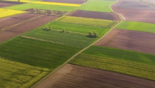 Держгеокадастр у 2025 році внесло понад 500 тис. земельних ділянок до ДЗК0