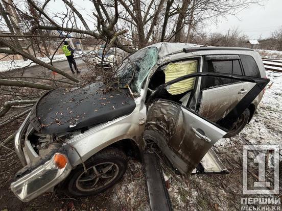 Двох людей доправили до лікарні: на об’їзній біля Змички позшляховик злетів з дороги та врізався в дерево1