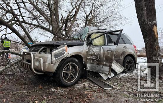Двох людей доправили до лікарні: на об’їзній біля Змички позшляховик злетів з дороги та врізався в дерево