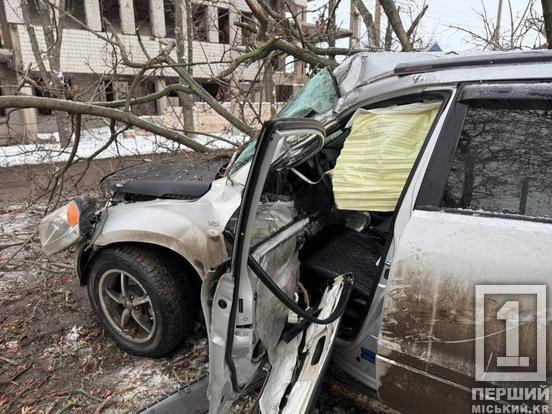 Двох людей доправили до лікарні: на об’їзній біля Змички позшляховик злетів з дороги та врізався в дерево2