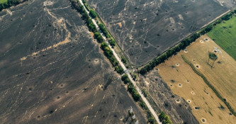 Екологічні збитки України від війни перевищили ₴6 трильйонів: наймасштабніші втрати в Європі за сучасну історію0