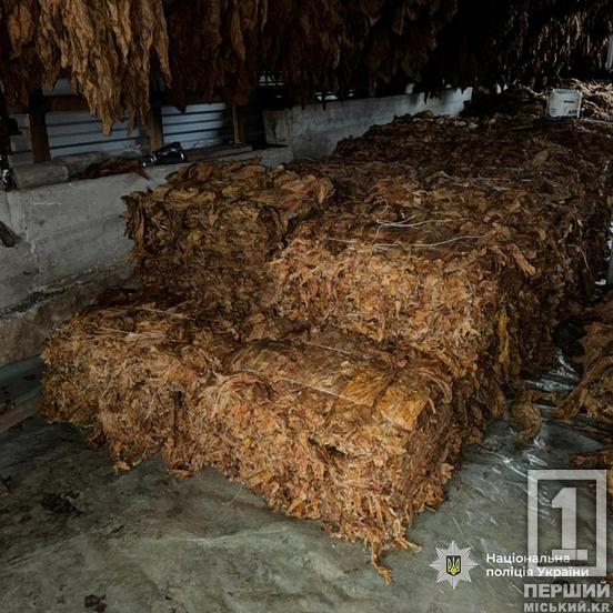 Могли «розбагатіти» на 13 млн грн: викрито «пару», що торгувала по Україні тютюновою продукцією1