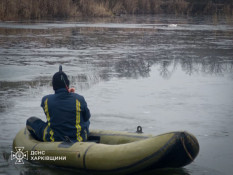 На Харківщині надзвичайники врятували з пастки лебедя0