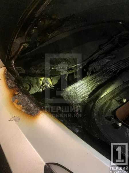 На вулиці Генерала Радієвського горіла Tesla: підозрюваного у підпалі затримали3