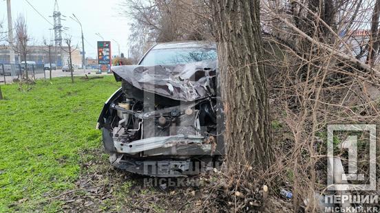 «Передок» – у металевий фарш: на вул. Вільної Ічкерії Geely влетіла в дерево1