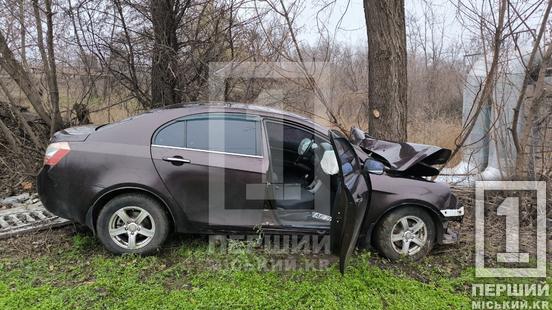 «Передок» – у металевий фарш: на вул. Вільної Ічкерії Geely влетіла в дерево2