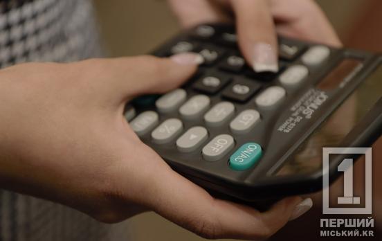 Податкова збільшила кількість перевірок ФОПів: Дніпропетровщина була під ревізією 518 разів